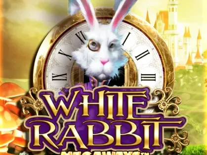 white rabbit